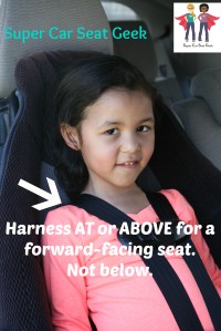 A forward-facing harness should always come from right AT or ABOVE the child's shoulders; never below them!