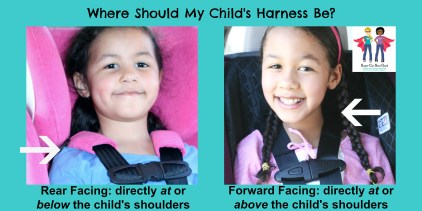 Proper harness height rf vs ff